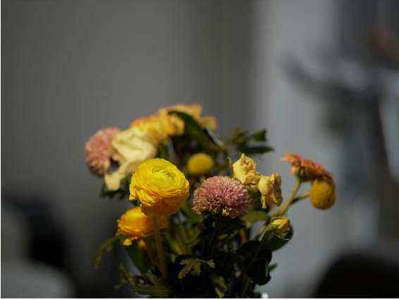 Table settings with floral centrepieces