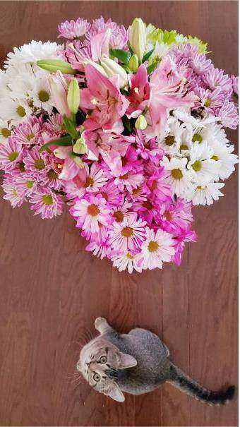 Banquet tables with elegant blooms