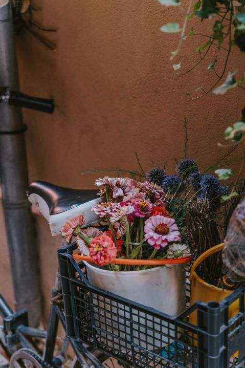 Eco-friendly floral installation in Sydney