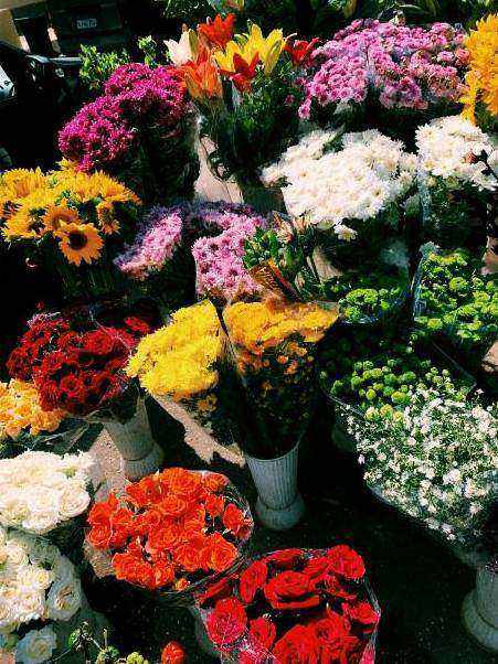 Floral stage backdrop at a cultural festival