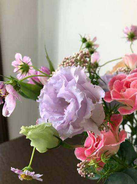 Florist sourcing seasonal flowers